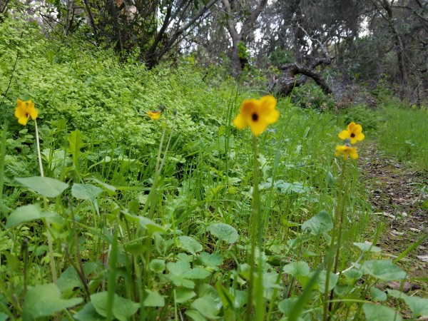 20190323_162831.jpg