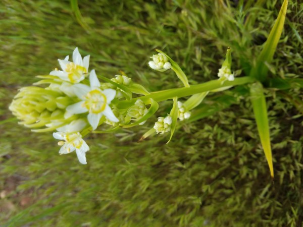 20190323_164355.jpg