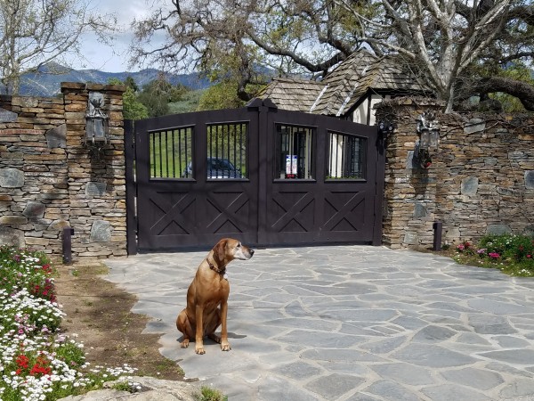 20190403_210104.jpg