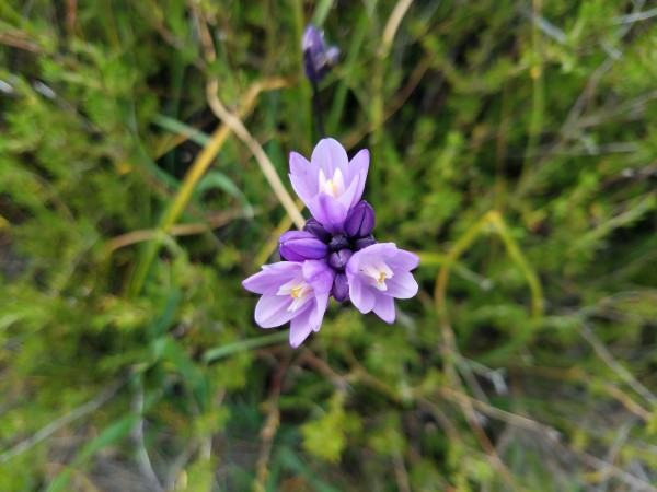 20190403_150625.jpg