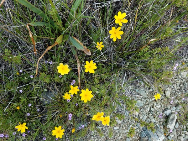 20190403_151437.jpg