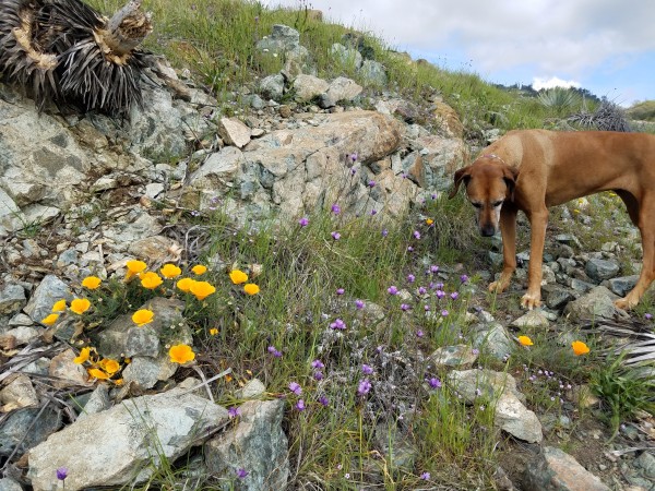20190403_150938.jpg