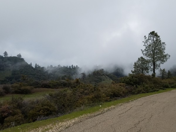 20190403_154901.jpg