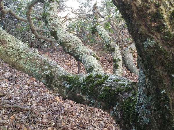 20190406_191147.jpg