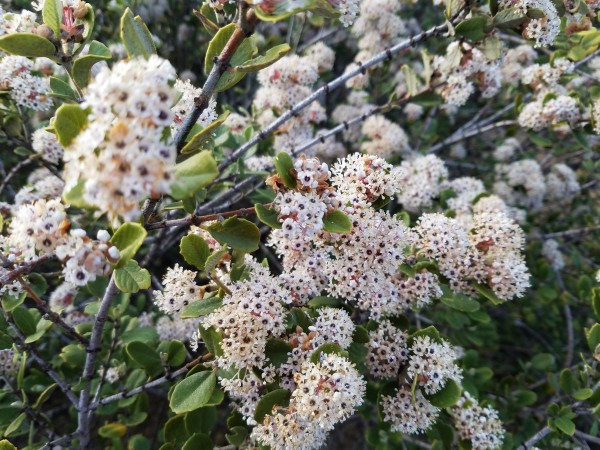 20190406_185507.jpg