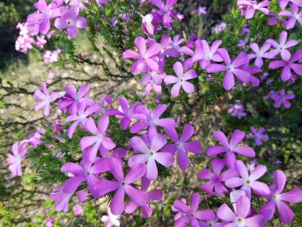 20190406_184047.jpg