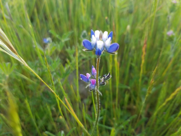 20190409_181515.jpg