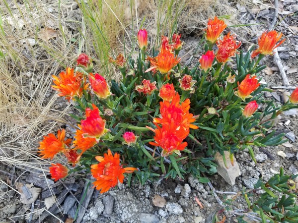 20190409_185810.jpg