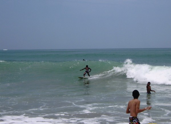 PB240026.JPG