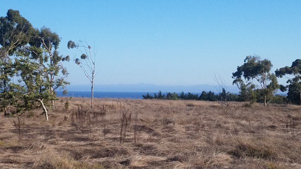 20190831_170717.jpg