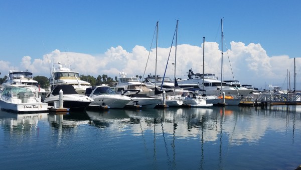 20190905_131552.jpg