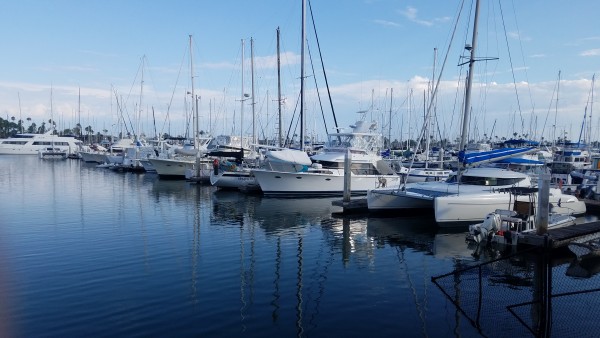 20190904_172009.jpg