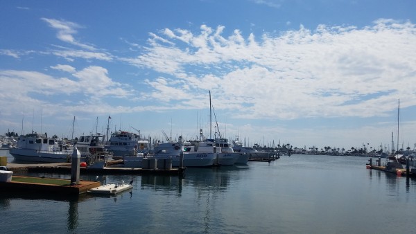 20190904_113321.jpg