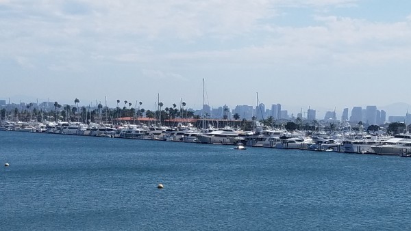 20190904_110700.jpg