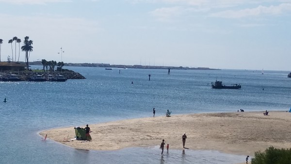 20190904_110701.jpg
