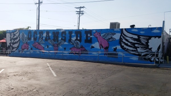 20190905_164348.jpg