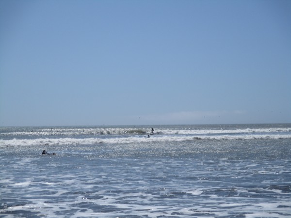 IMG_0262.JPG