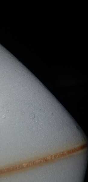 20191102_050036.jpg