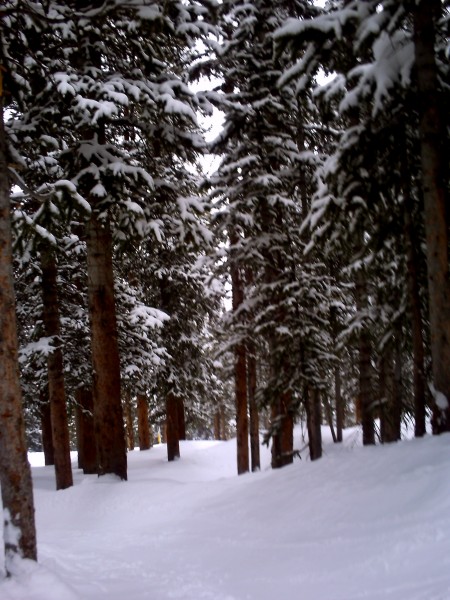 PICT0021.JPG