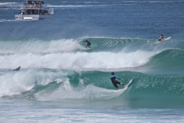 Bikinis to wetsuits.jpg