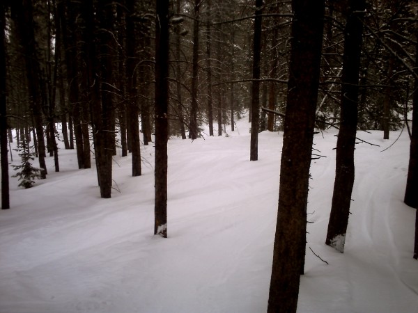 PICT0027.JPG