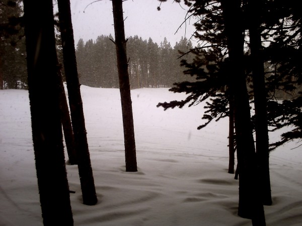 PICT0031.JPG