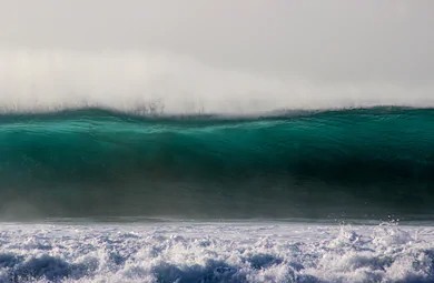 closeout.jpg