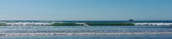 AlSurfingEnderts.jpg