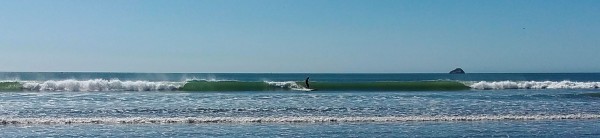 AlSurfingEnderts.jpg
