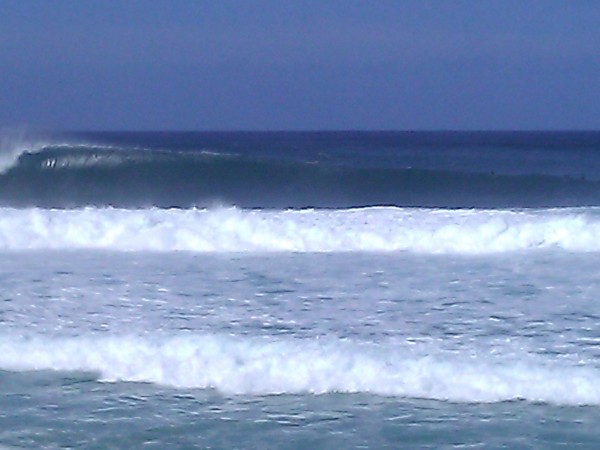 WP_000051.jpg