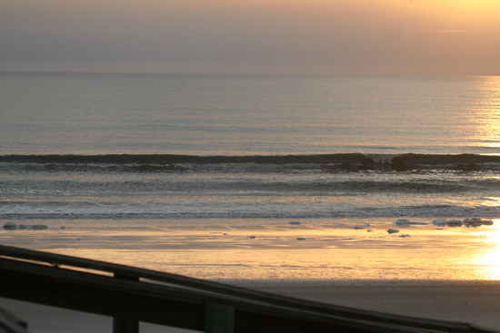 02-02-2009 Surf Report 003.jpg
