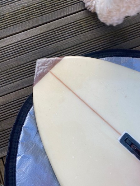 Tail.jpg
