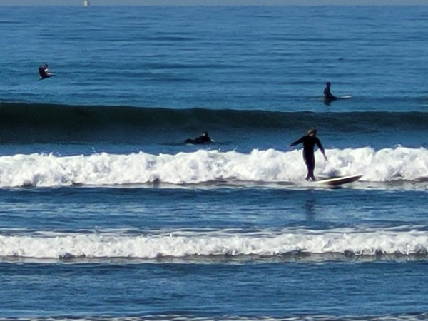 20220226_093027.jpg