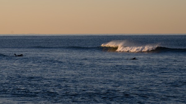 20220226-DSC_2756.jpg