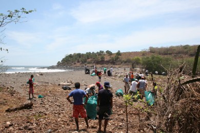Cleanup taking place along the beach