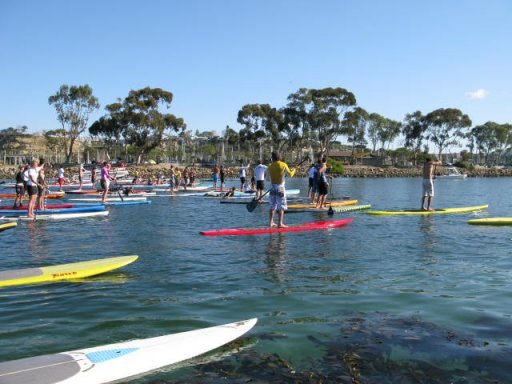 Stand Up Paddle Surfers in Action