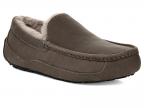Ugg Ascot (thunder Cloud)